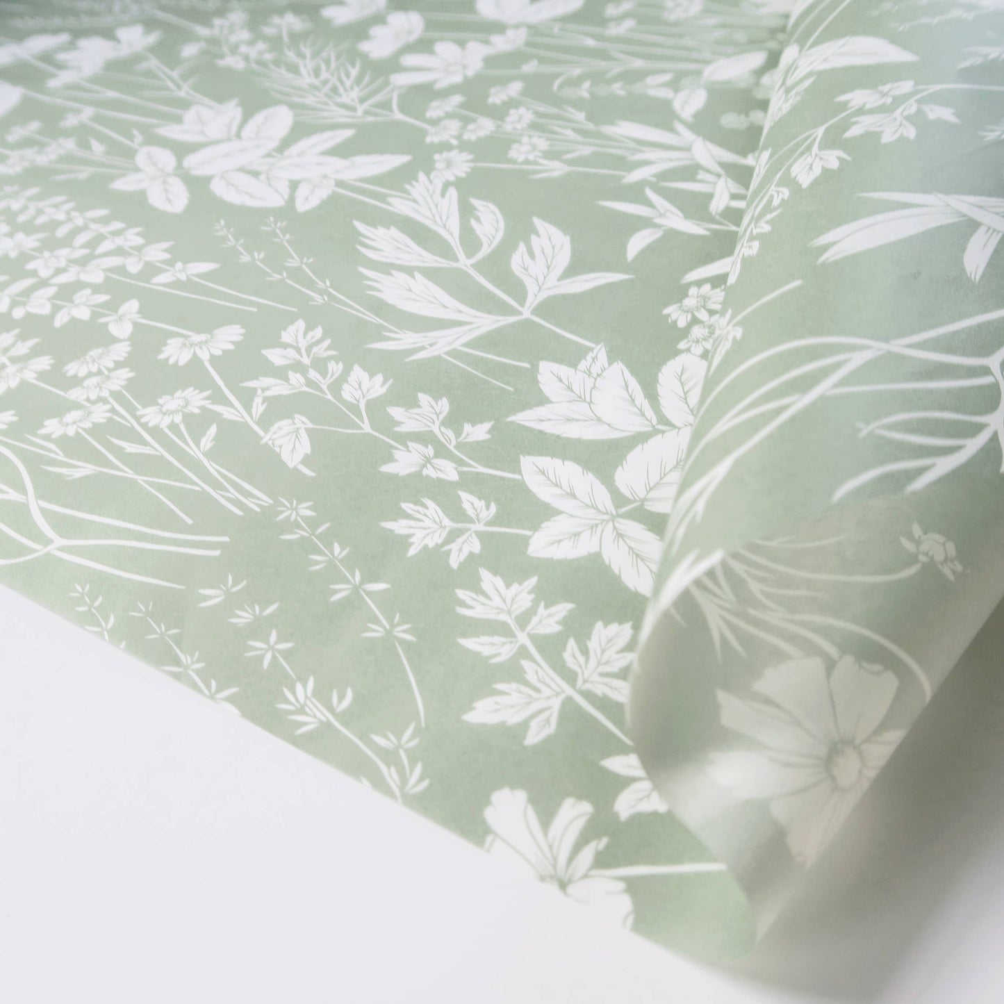 Tissue Paper - Herbs in Sage
