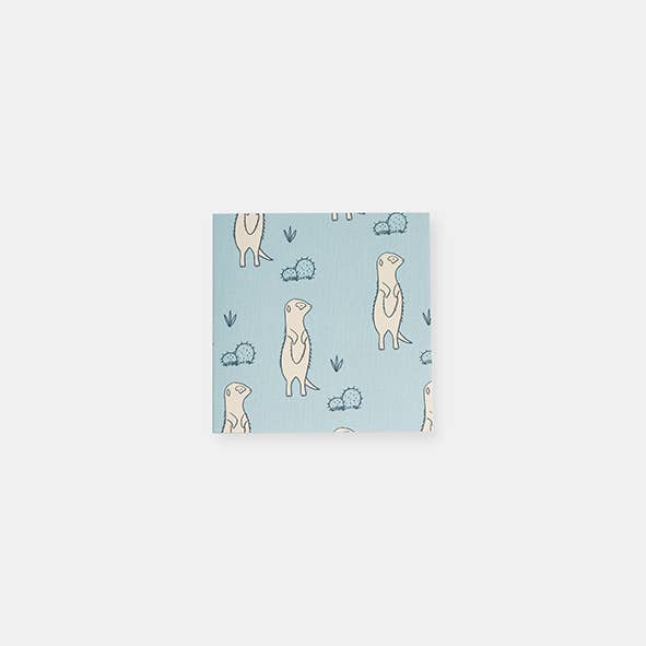 Small – Meerkats