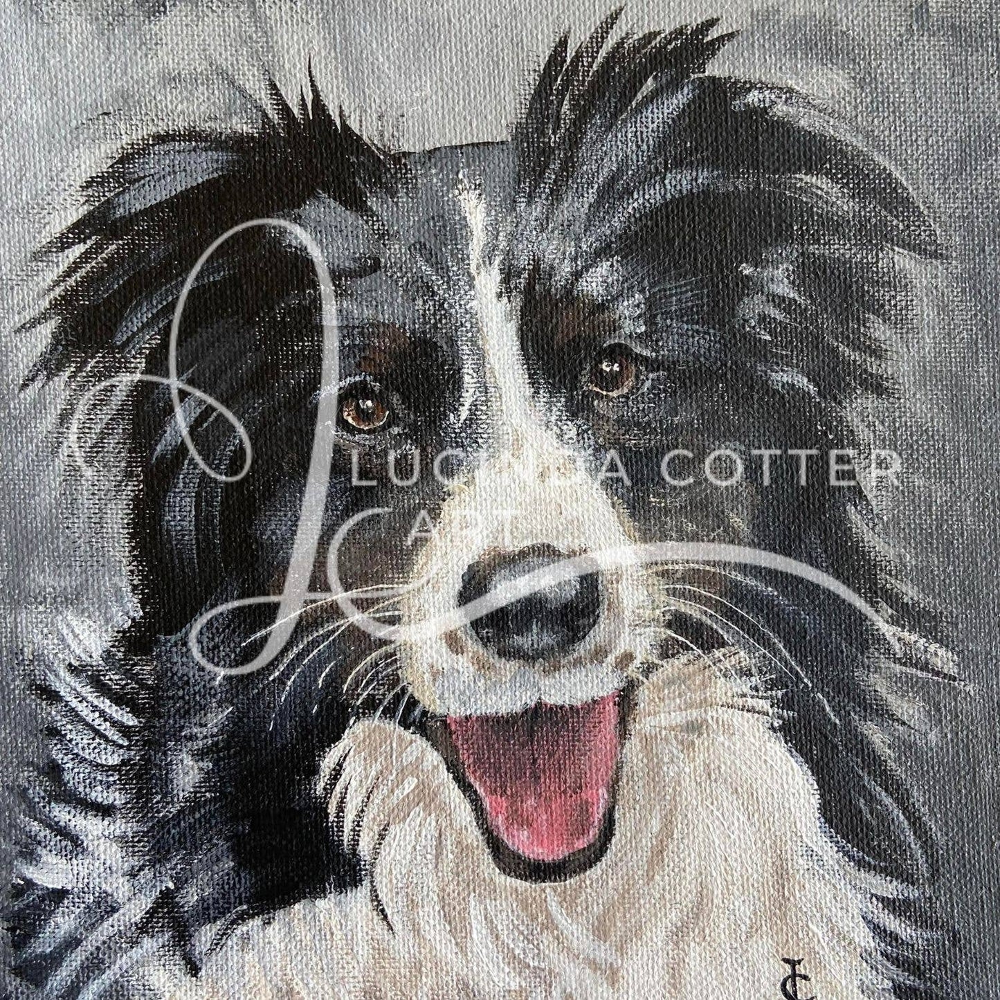 Border Collie Card