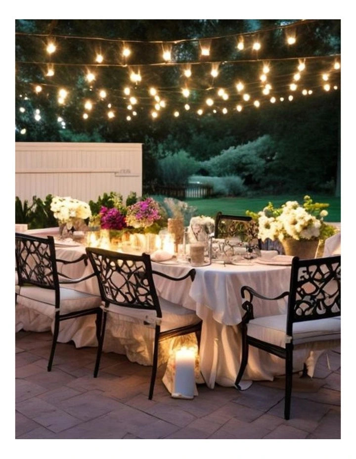 50m Indoor/Outdoor Festoon Lights – Hire