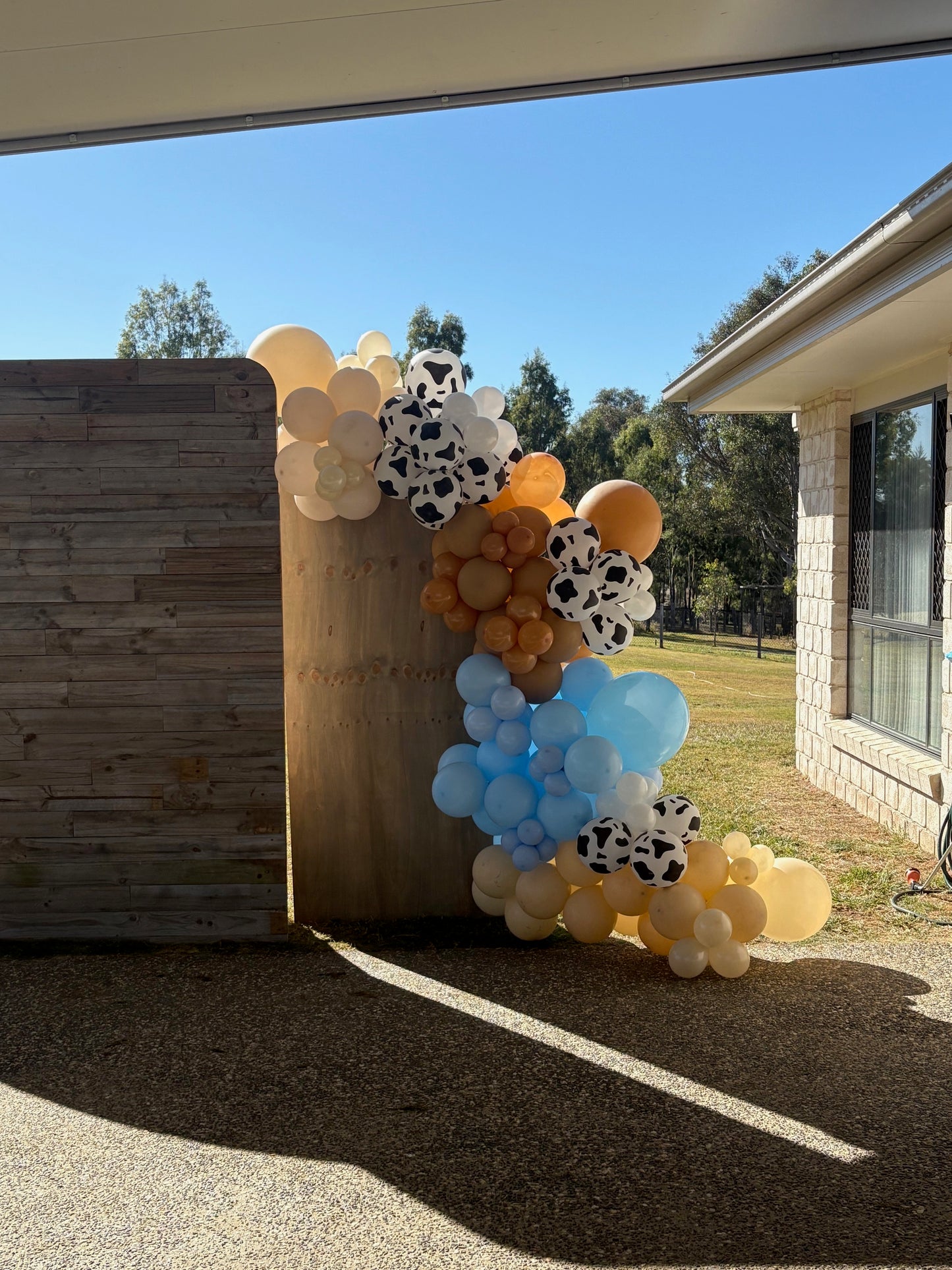 Rustic Western Party Backdrops