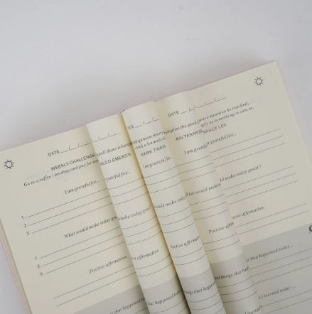 The Gratitude Journal