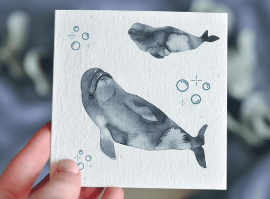 Jonah Plantable Greeting Card