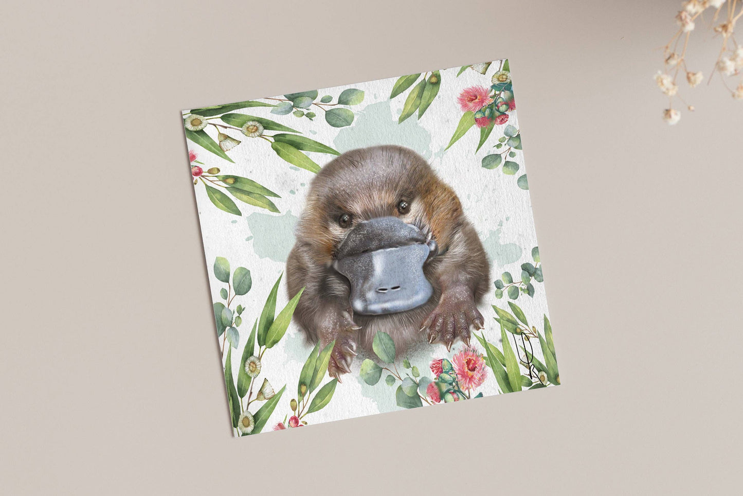 AUSTRALIAN NATIVE ANIMAL SERIES - GREETING CARDS